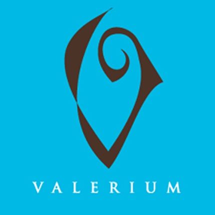 Logotipo de Valerium Salon