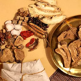 Dr. Xia TCM Heilzentrum in 1060 Wien