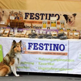 Bild von Festino Tiernahrung GmbH