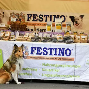 Bild von Festino Tiernahrung GmbH