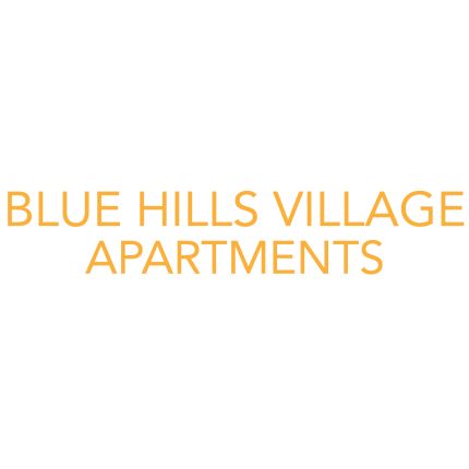 Logotipo de Blue Hills Village