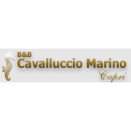 Logotyp från B&B Cavalluccio Marino