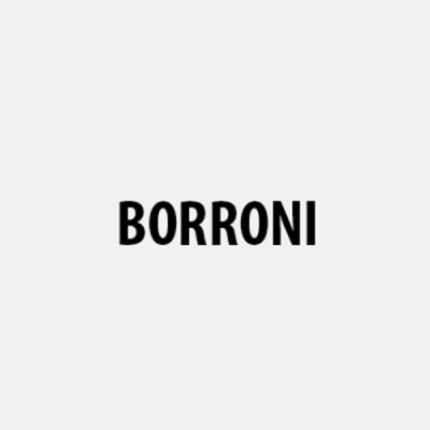 Logo da Borroni