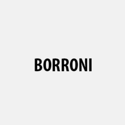 Logo od Borroni