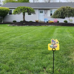 Making Solid Ground Lawn Care Inc Coram NY