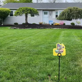 Making Solid Ground Lawn Care Inc Coram NY