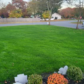 Making Solid Ground Lawn Care Inc Coram NY