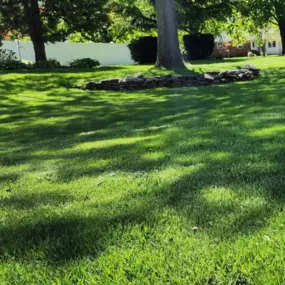 Making Solid Ground Lawn Care Inc Coram NY