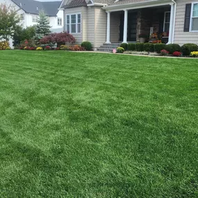 Making Solid Ground Lawn Care Inc Coram NY