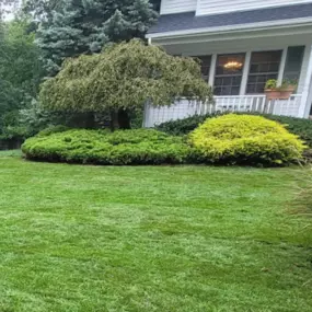 Making Solid Ground Lawn Care Inc Coram NY