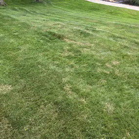 Making Solid Ground Lawn Care Inc