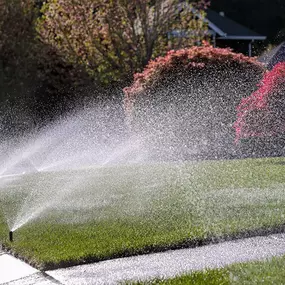 Making Solid Ground Lawn Care Inc