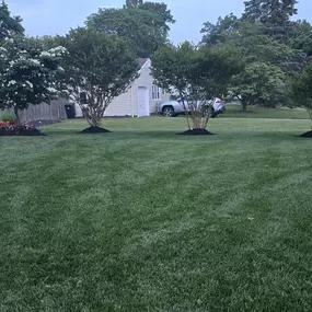 Making Solid Ground Lawn Care Inc