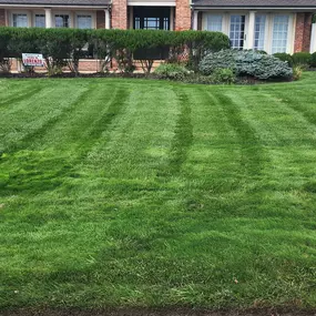 Making Solid Ground Lawn Care Inc