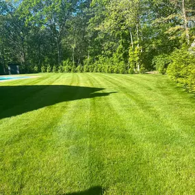 Making Solid Ground Lawn Care Inc