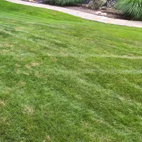 Making Solid Ground Lawn Care Inc