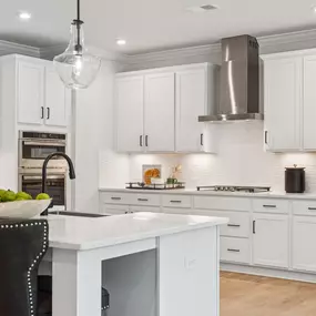 Gourmet Kitchens