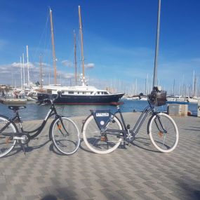 Alquiler-bicicletas-comodas-en-Palma-1024x768.jpeg