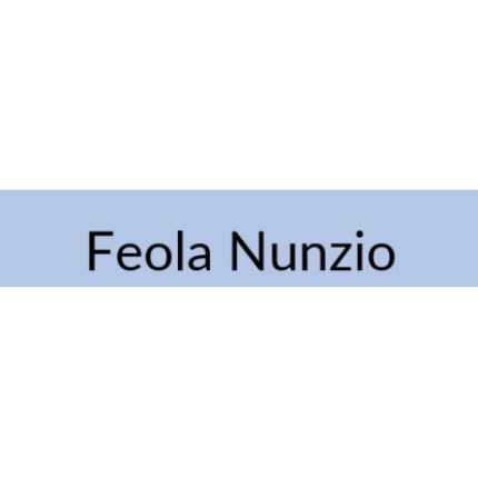 Logotyp från Feola Nunzio
