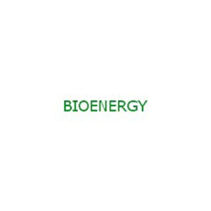 Logo from Bioenergy - Energie Rinnovabili