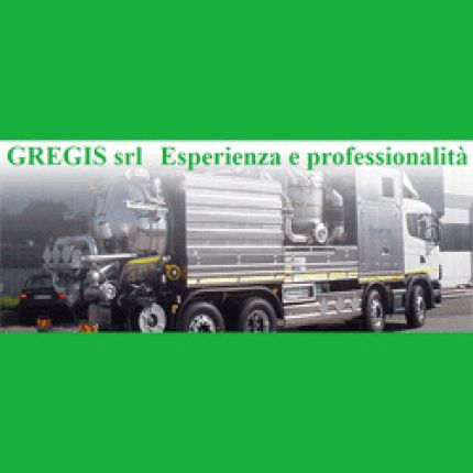 Logotipo de Gregis Spurghi