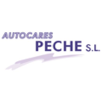 Λογότυπο από Autocares Peche S.L.