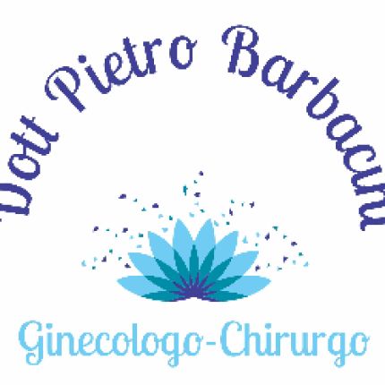 Logo van dott.pietro Barbacini