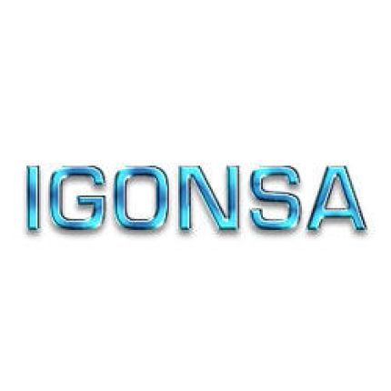 Logo de Igonsa Sl