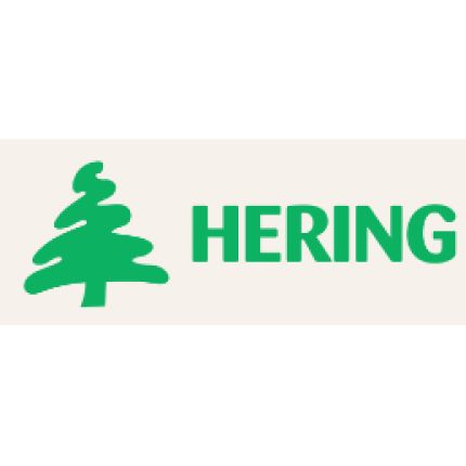 Logo da Vnitrostátní a mezinárodní doprava - Ing. Jan Hering