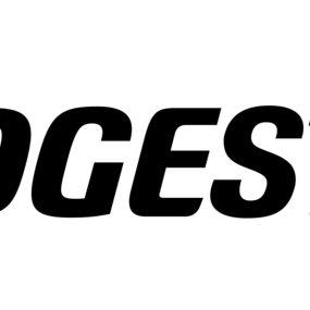 BRIDGESTONE.png