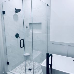 Glass shower door with Panel