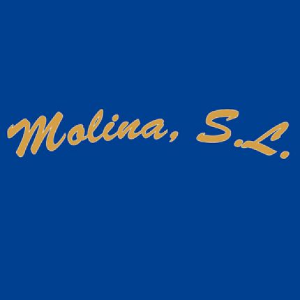 Logotyp från Buzones Y Rótulos Molina