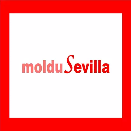 Logo de MOLDUSEVILLA S.L.