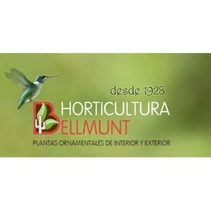 Logo de Horticultura Bellmunt S.L.