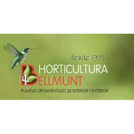 Logotyp från Horticultura Bellmunt S.L.