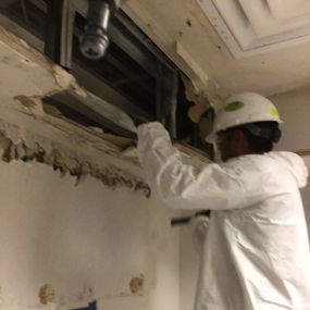 Removal of mold-contaminated building material