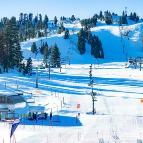 What a view looking up the mountain from the Snow Valley sundeck.