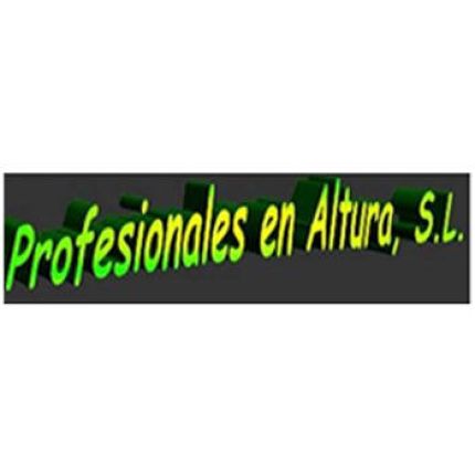 Logo from Profesionales en Altura