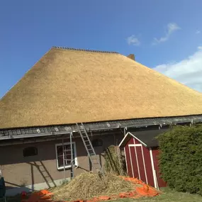 Dakzijde voorzien van riet