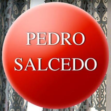 Logo van Pedro Salcedo Dilula