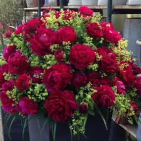 Bild von Blumen P. Gätzi