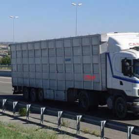 ganados-casals-camion-de-transporte-en-movimiento.jpg