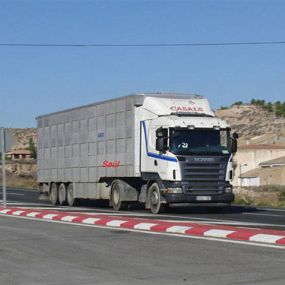 ganados-casals-sa-camion-05.jpg