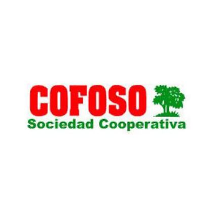 Logo von Cofoso S.C.Astur