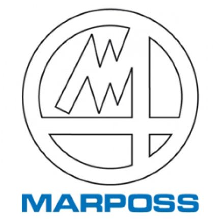Logo van Marposs Italia Spa