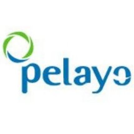 Logo van Seguros Pelayo