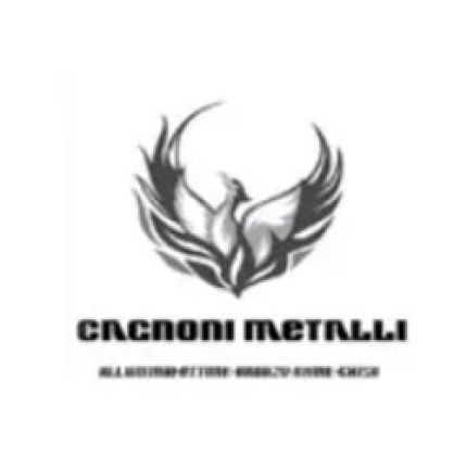 Logo fra Cagnoni Metalli