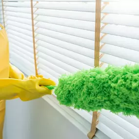 Bild von Singer Vaughn Cleaning