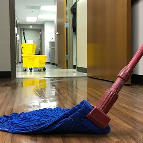 Bild von Singer Vaughn Cleaning