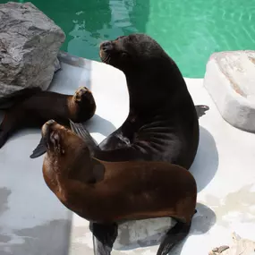Zoologická zahrada Liberec, p.o.
